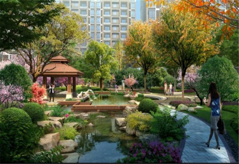 С�^(q��)���^����չʾ